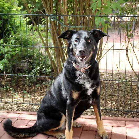 Maritime In Strandnaehe *